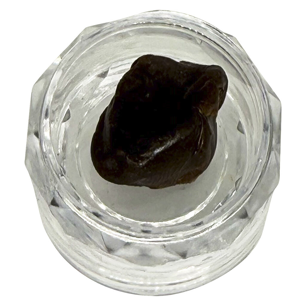 The Oz Store - Grandaddy Funk - Indica - 2g