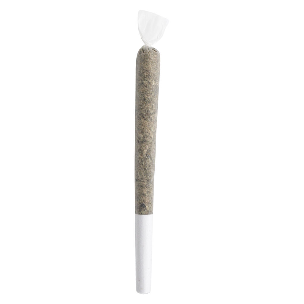 Jack Herer - Master Jack Pre-Roll - Indica - 1x1g