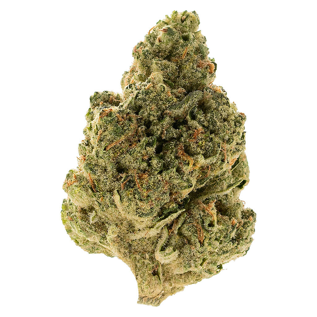 OMY! - Gravity Cookies