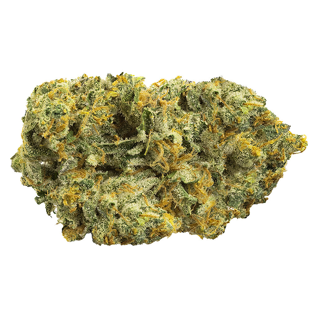 Zip - Baked Alien
