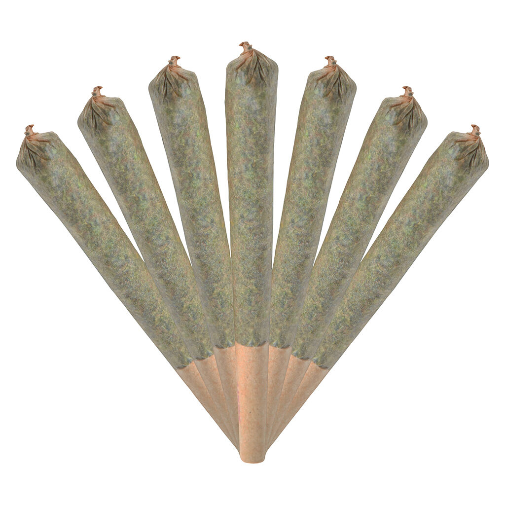 Chillbilly - Jack Herer Jamboree Smiggies Pre-roll - Sativa - 7x0.5g