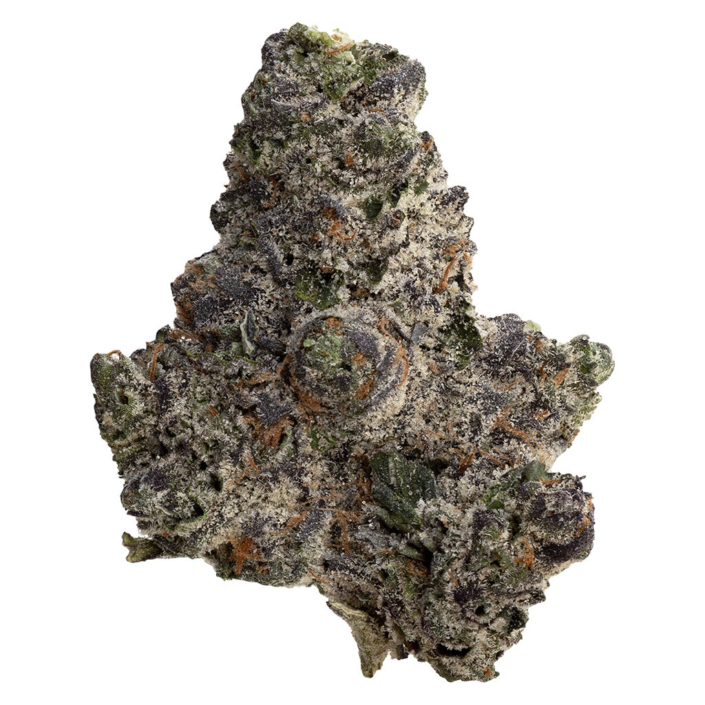 Original Dankster - Trapstar 28g