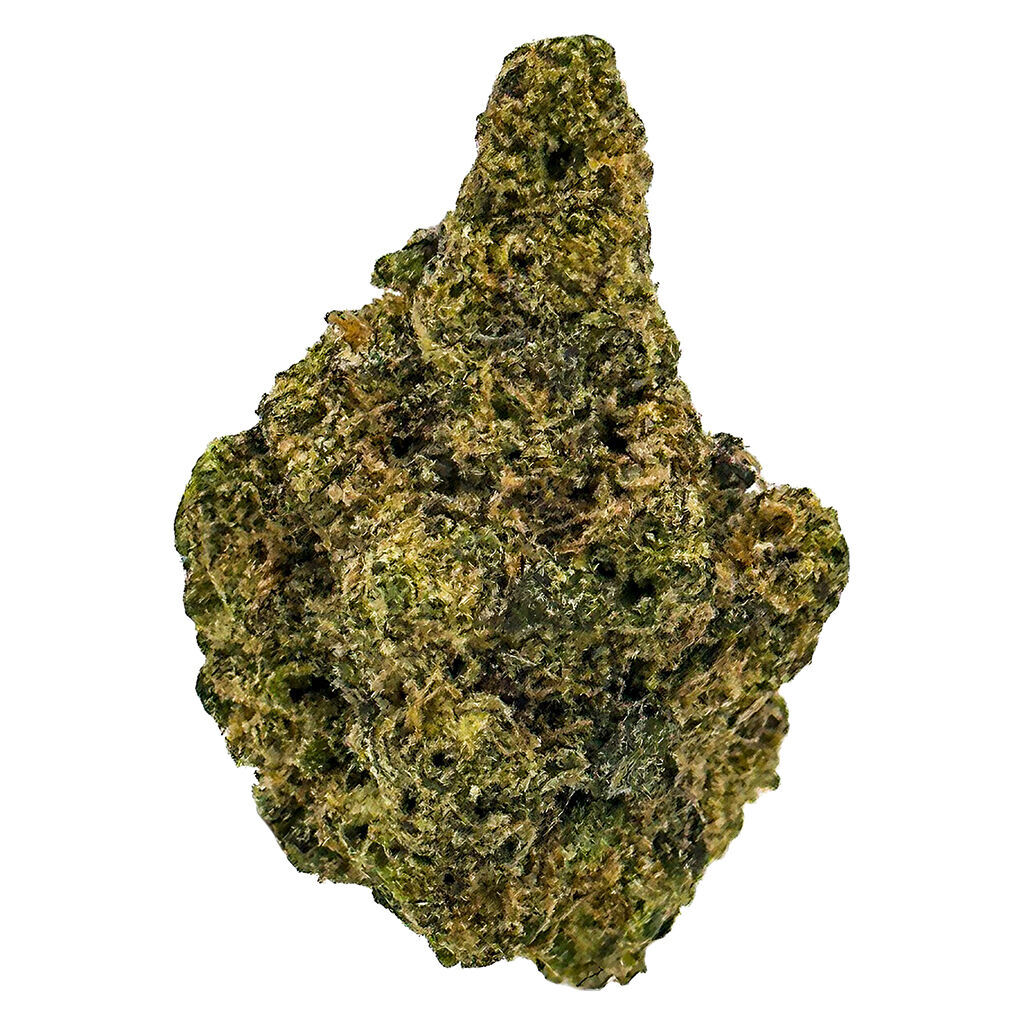 SKOSHA - Purple Caviar