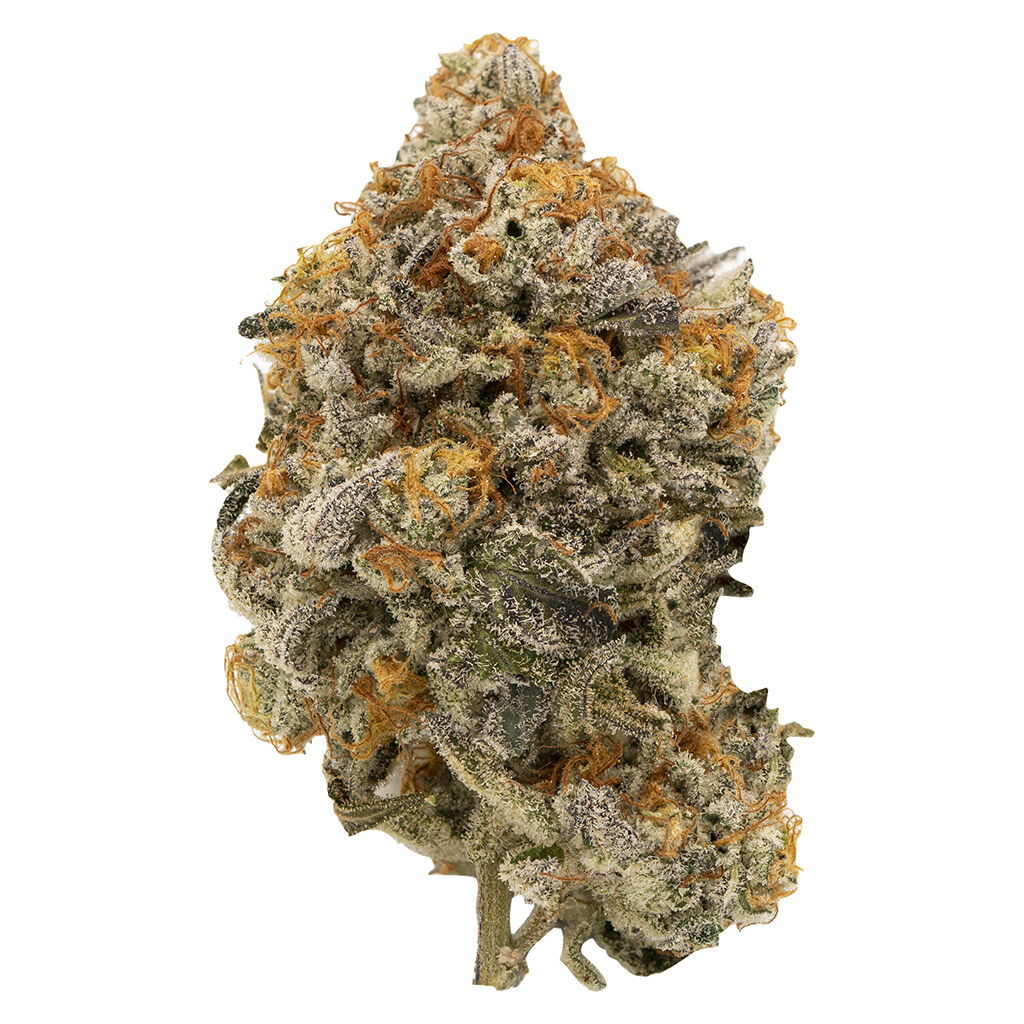 Ontario Micro Growers - Rick Simpson's Cut by Greenwell Compassion