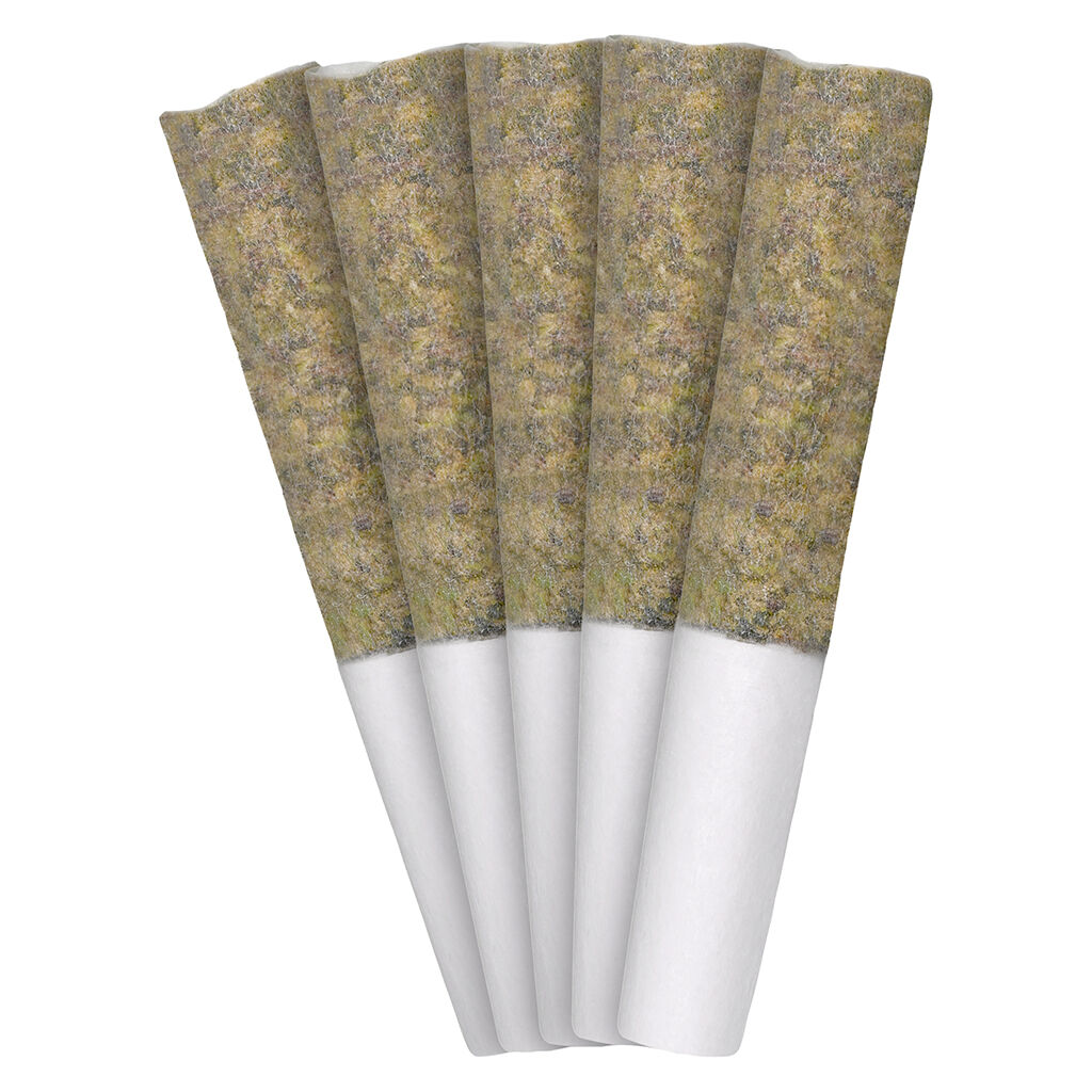 Tribal - Gran Turismo Pre-Roll - Indica - 5x0.5g