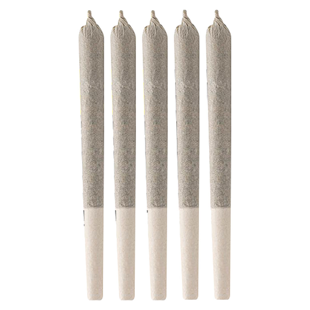 Cactus - Black Triangle Pre-Roll - Indica - 5x0.5g