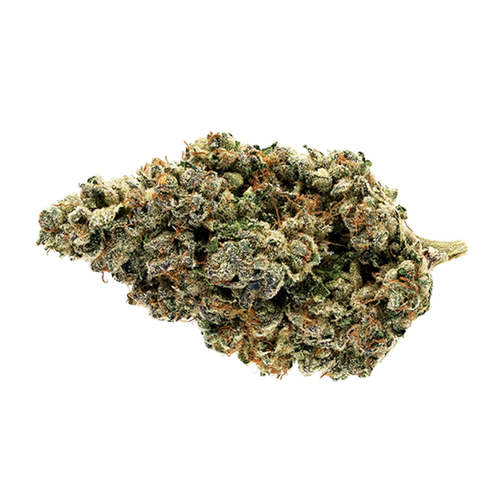 Broken Coast - Sonora