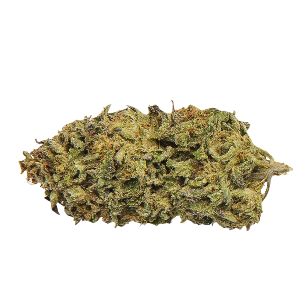 Coterie - Mendo Breath