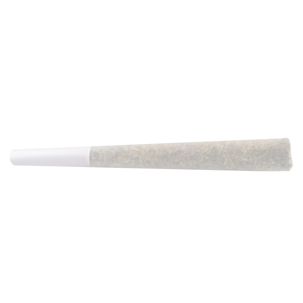 - Jack Haze Hash-Infused Pre-Rolls - 1x1g