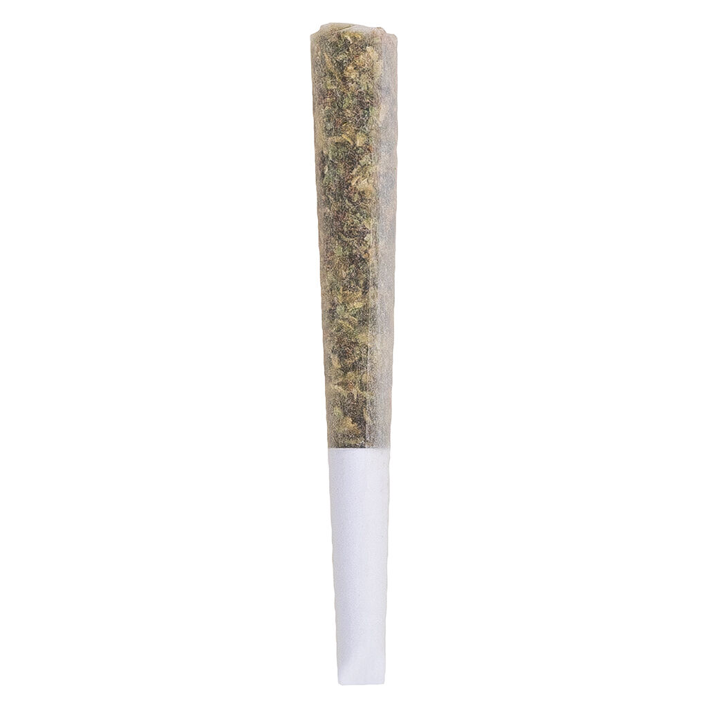 BLAST - Double-Dip Live Rosin Core Infused Pre-Roll - Indica - 1x1g