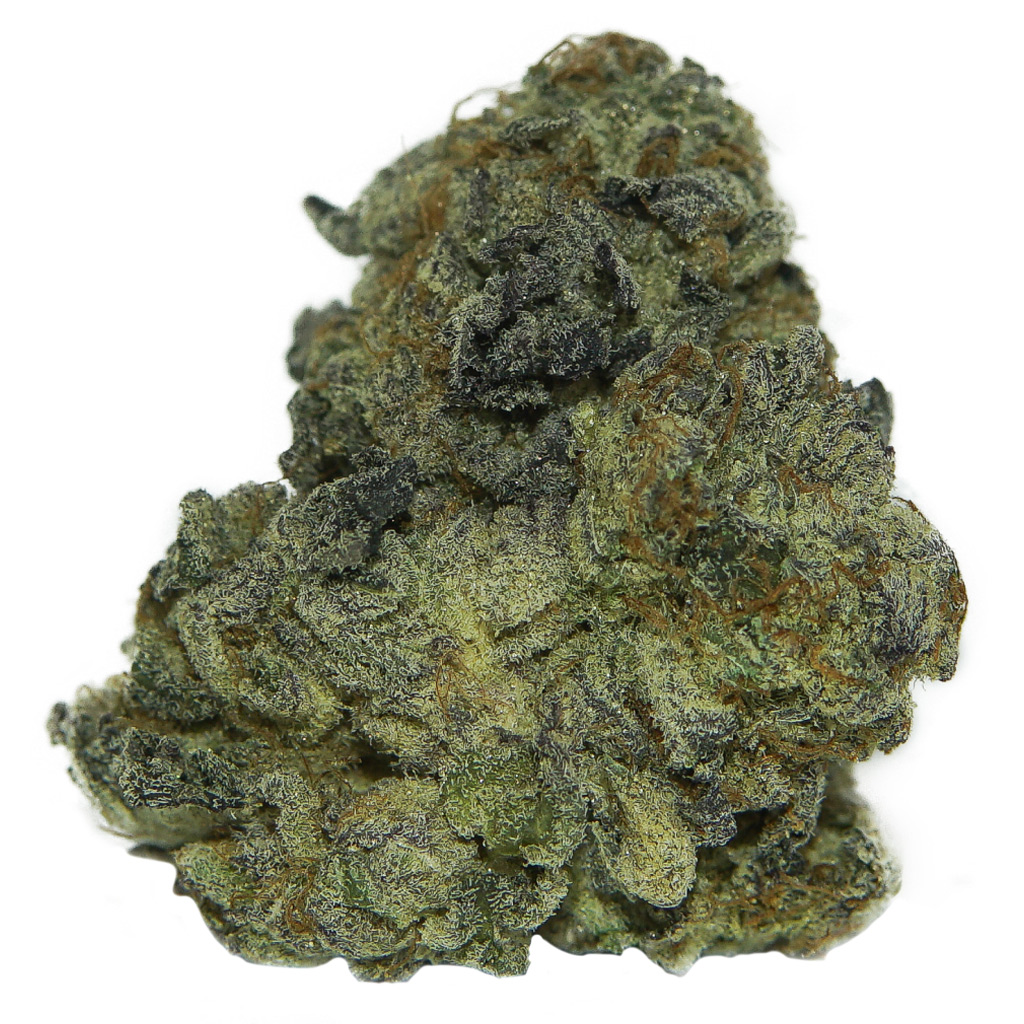 The Wild Florist - Tropical Gelato