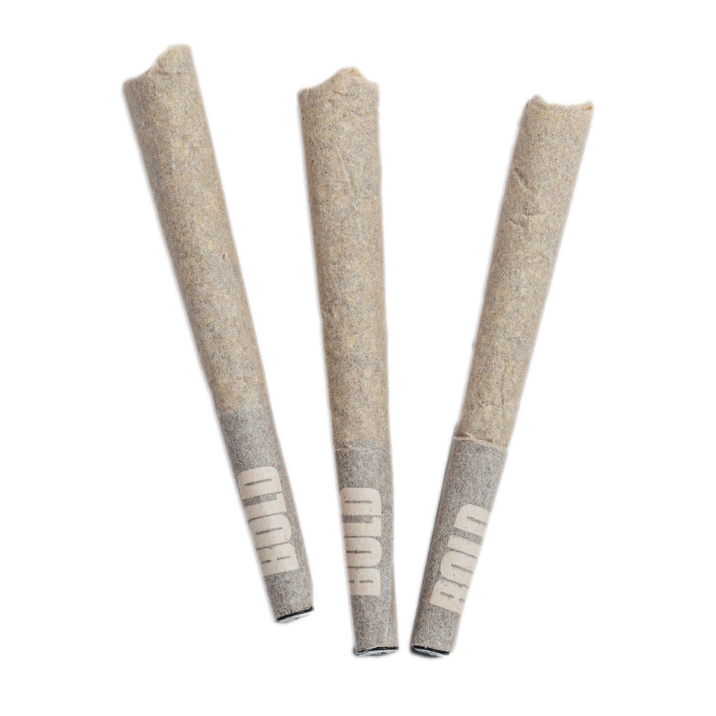 BOLD - Root Beer Float Pre-Roll - Indica - 12x0.5g