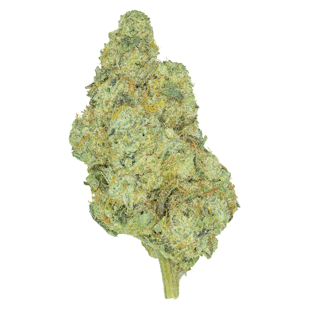 San Rafael '71 - Rotational