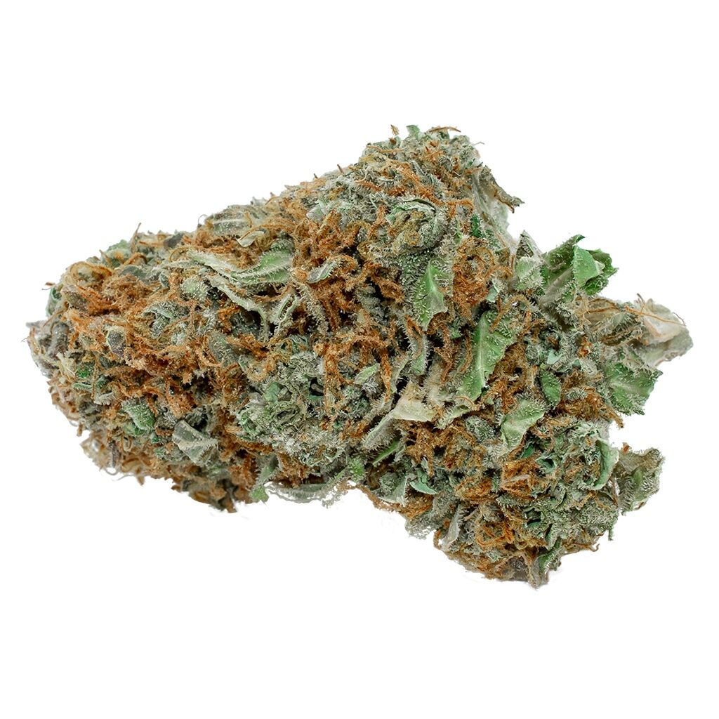 Flowr - BC Sensi Star