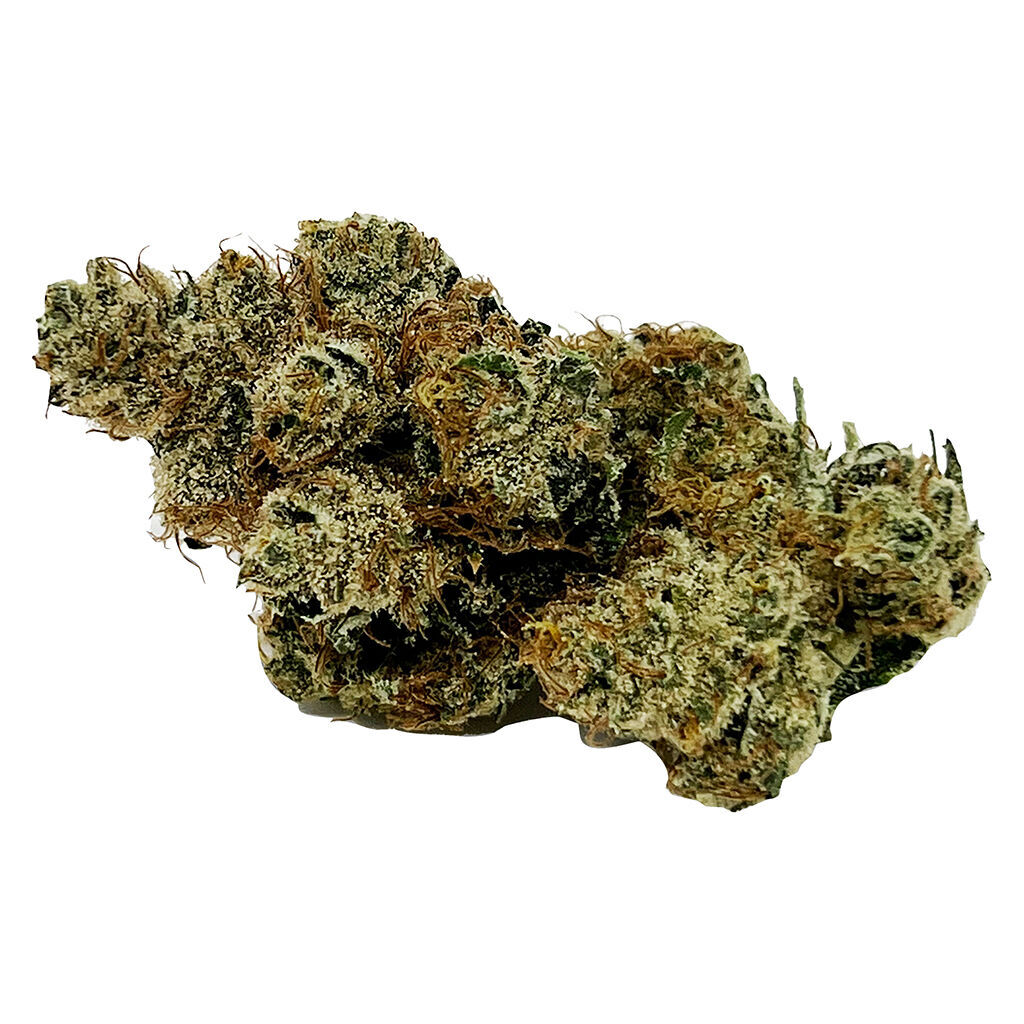 CALI - Mmmosa Evo