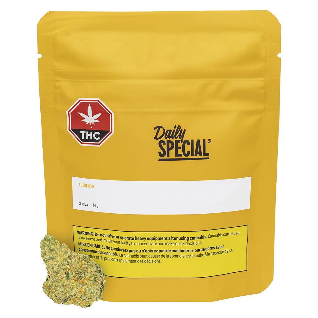 Daily Special - El Chemino