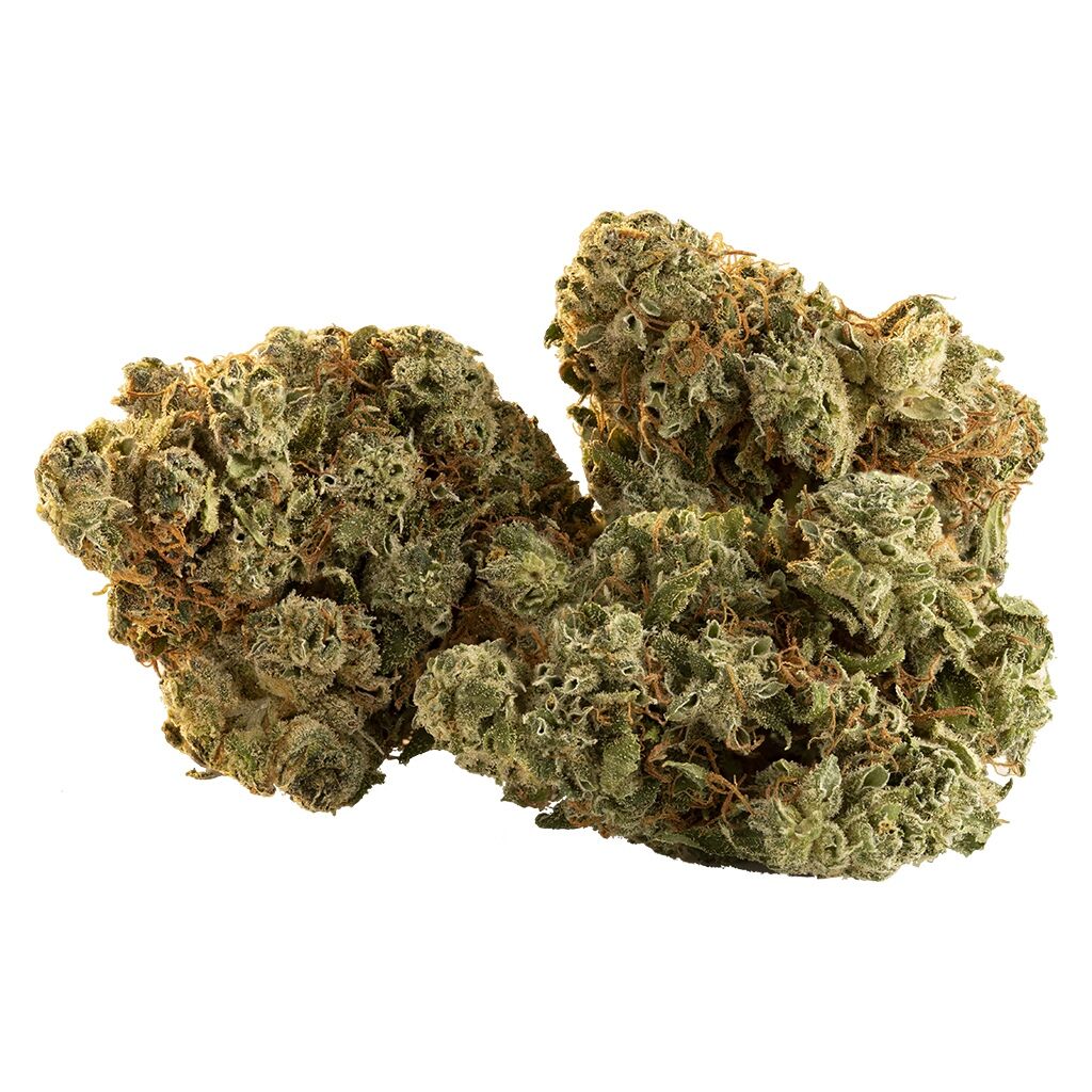 Trailblazer - Spark Buds