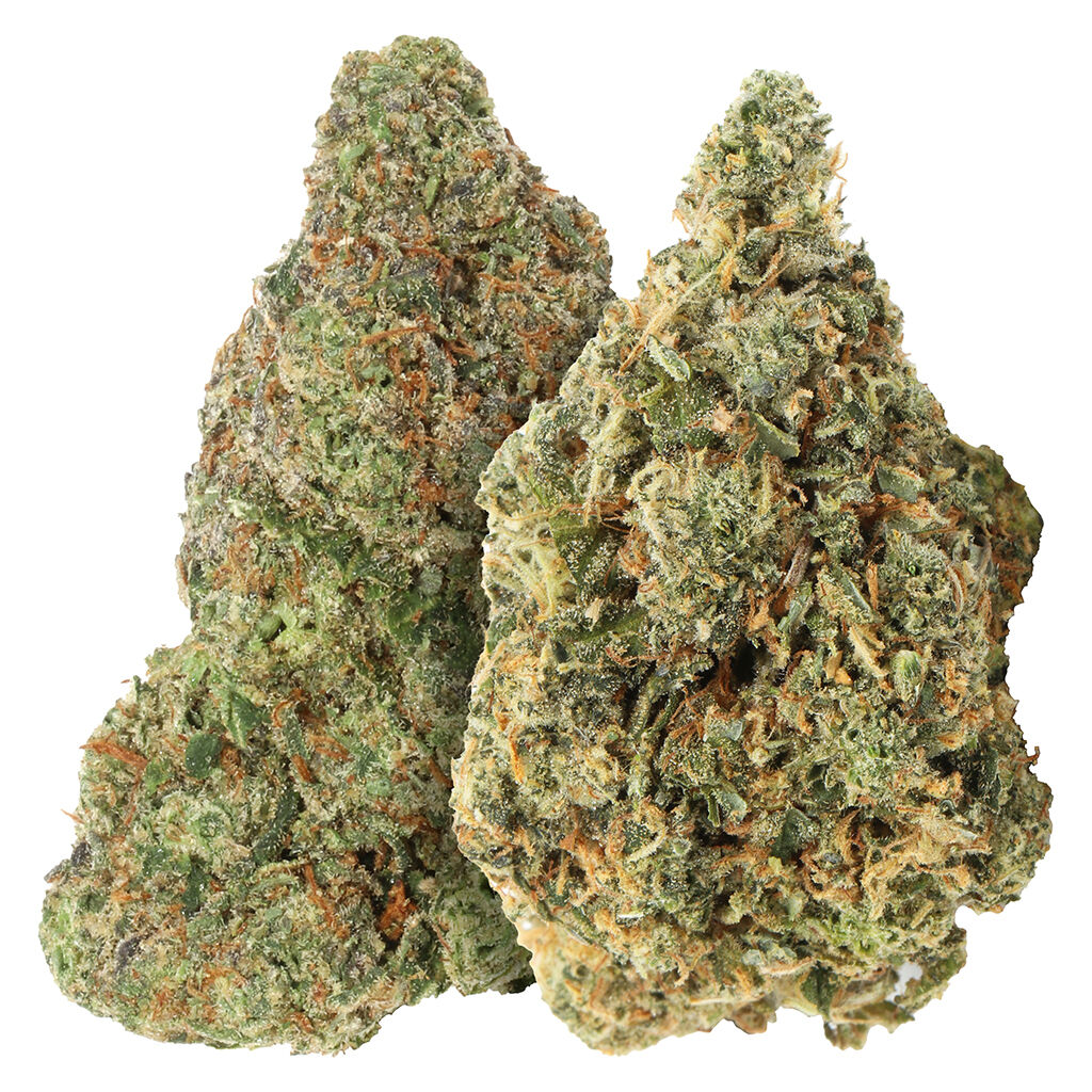 Carmel - Two Pack: Bubblegum Marker & Red Bullz