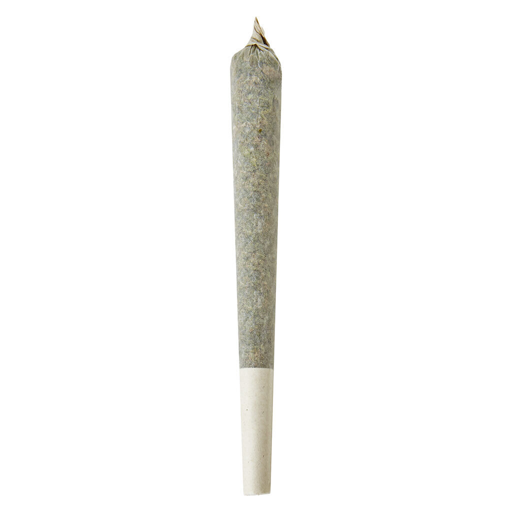 Shed Boyz - Grape Nanuk Double Infused Pre-Roll - Hybrid - 1x1g