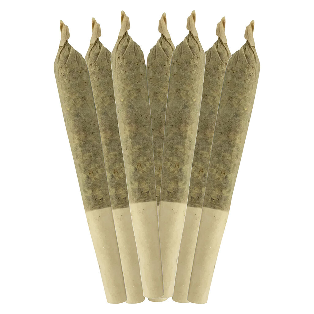 Sheeesh! - Dia De Los Muertos Pre-Roll - Indica - 20x0.35g