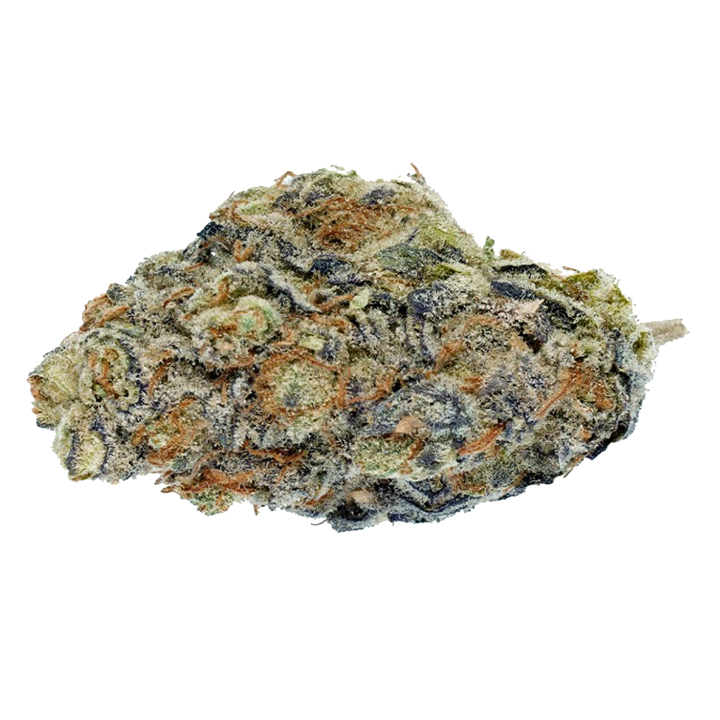 Wagner's - Purple Clementine #37