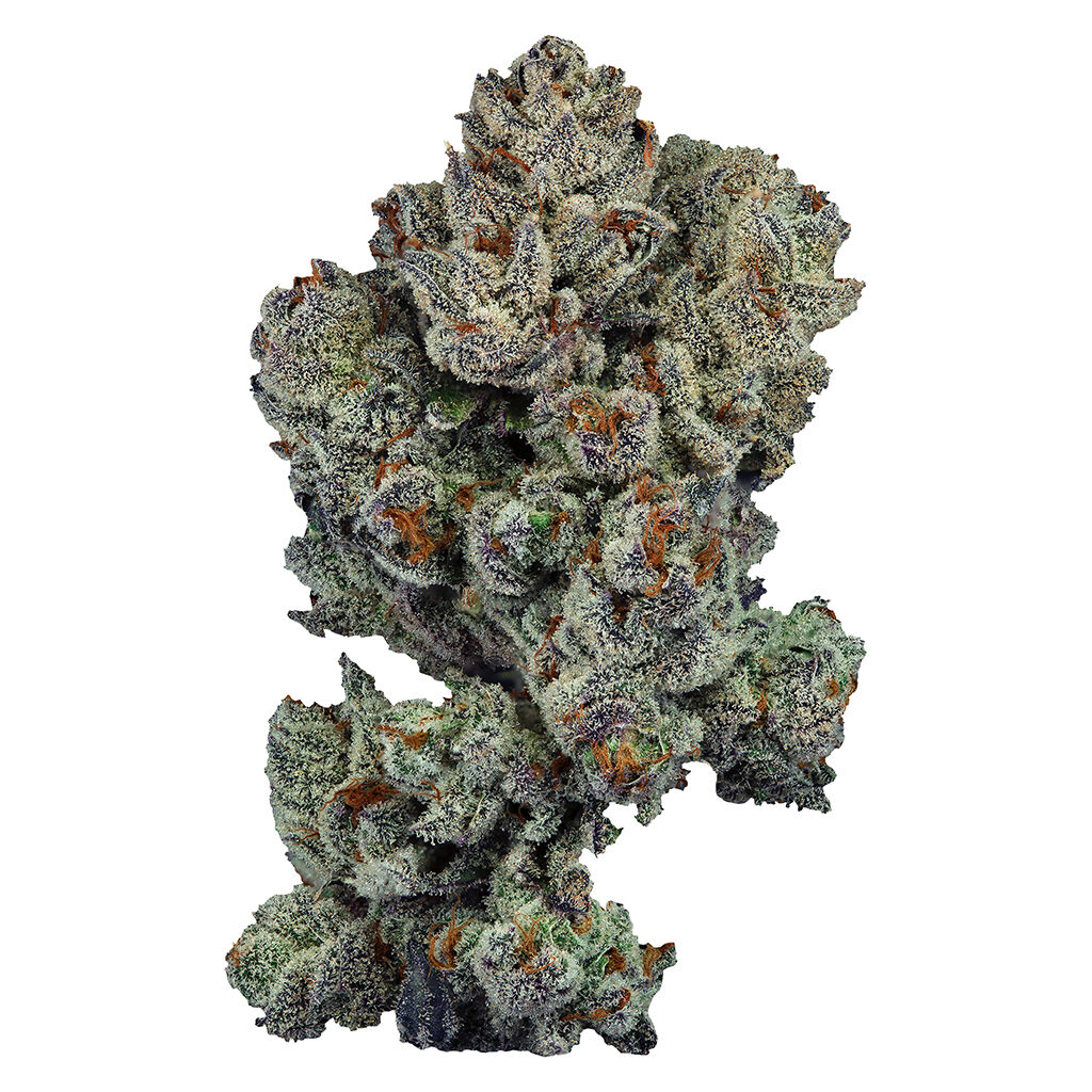 Natural History - Small Batch