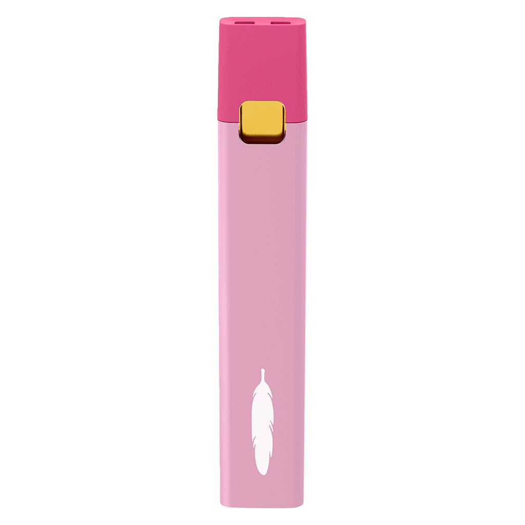 Feather - Melon Bubble Disposable USB-C Kit - Sativa - 1g