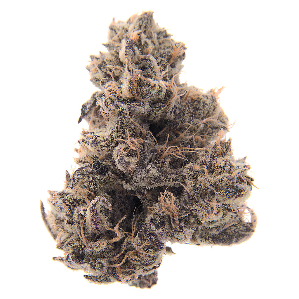 peers - Giiggly Bits - Rotational Sativa
