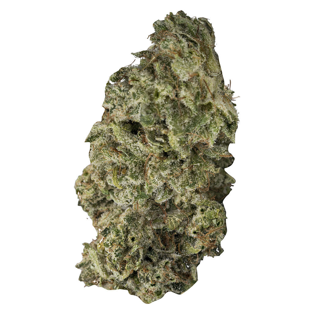 Contraband - DBL Dutch