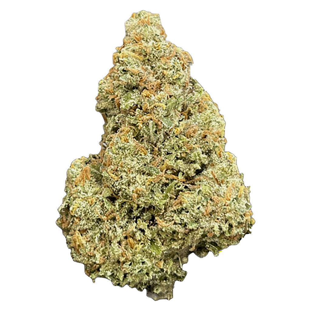 Orchard - BUSHELS HYBRID