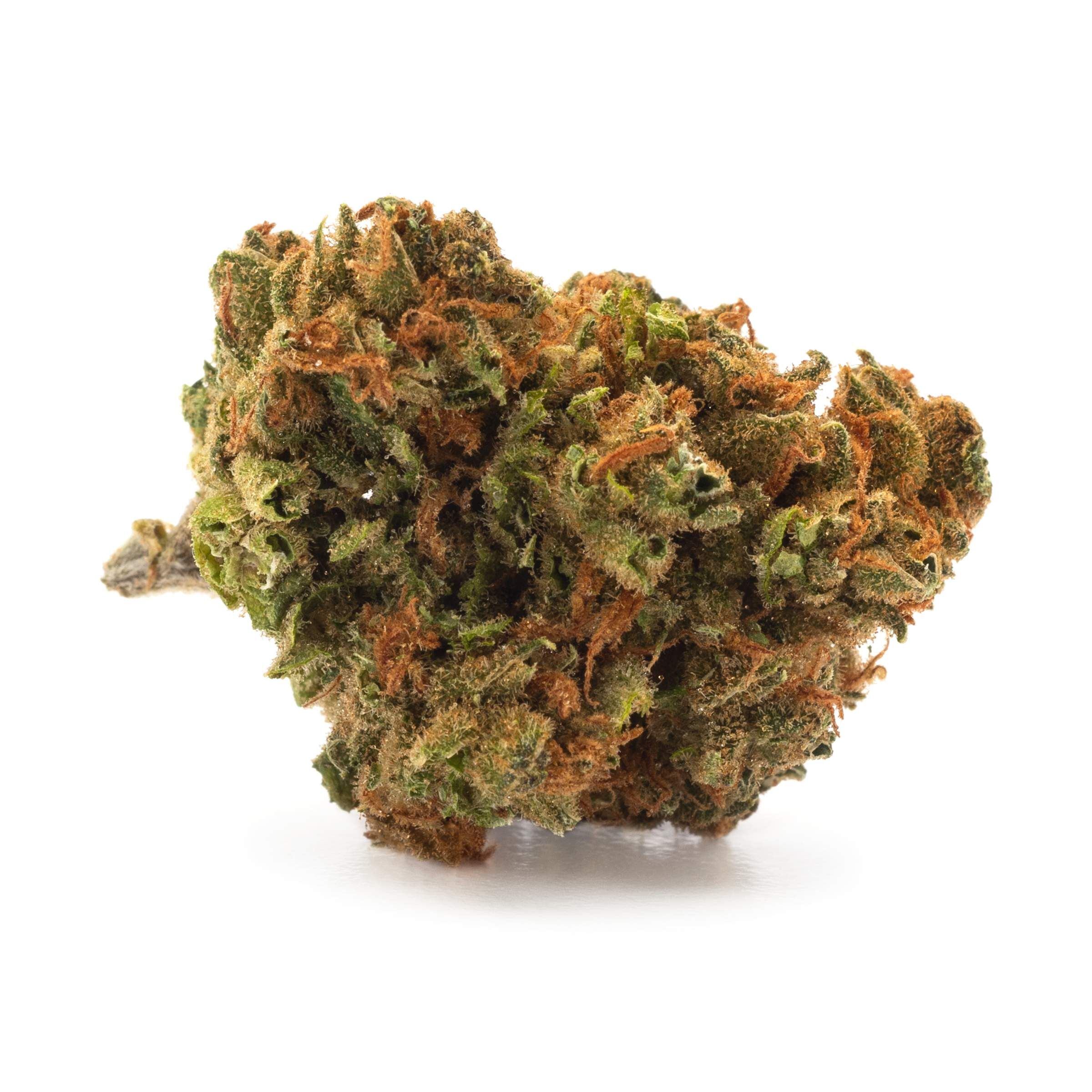 DNA Genetics - Lemon Skunk