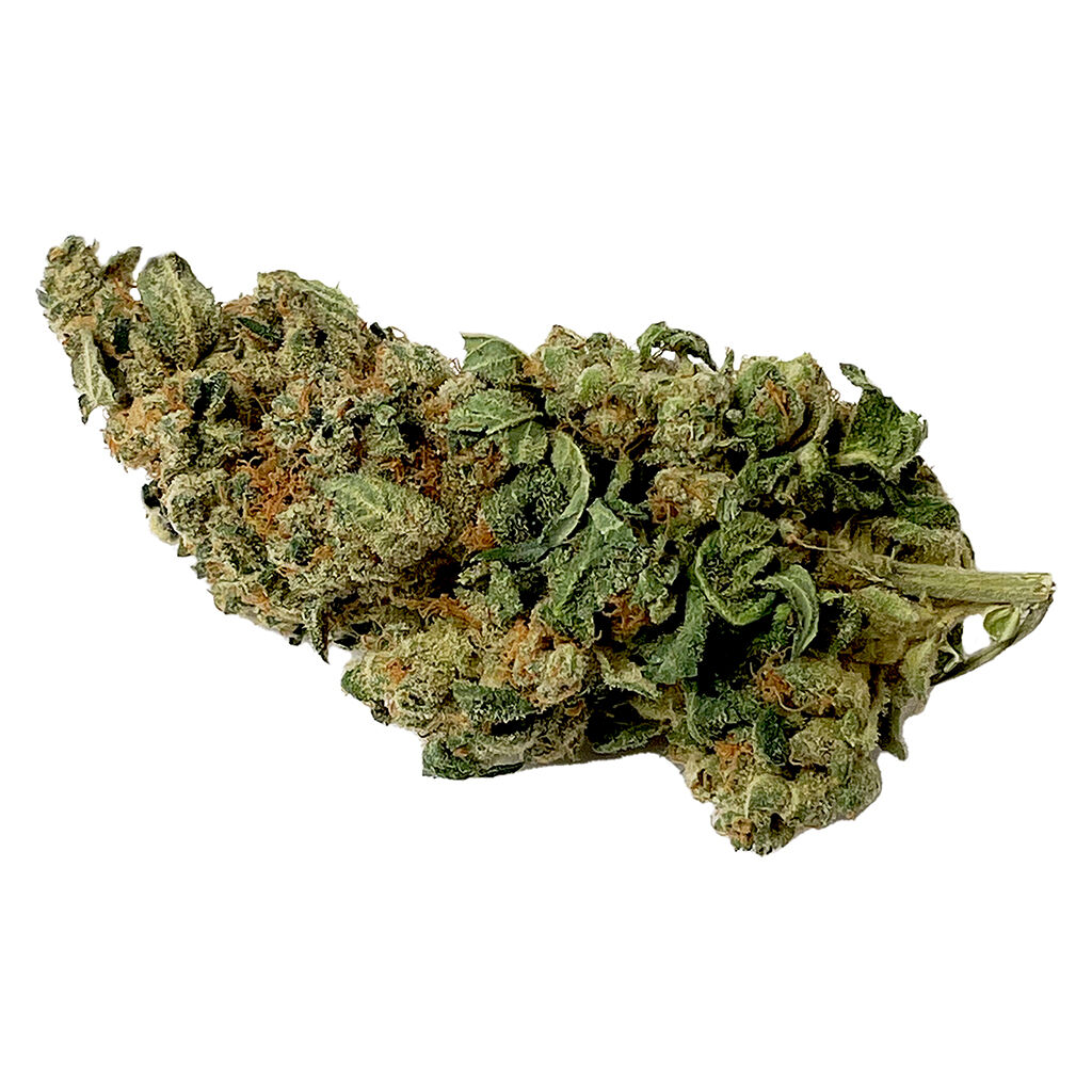 THINKER CLASSICS - Jack Herer (ON)