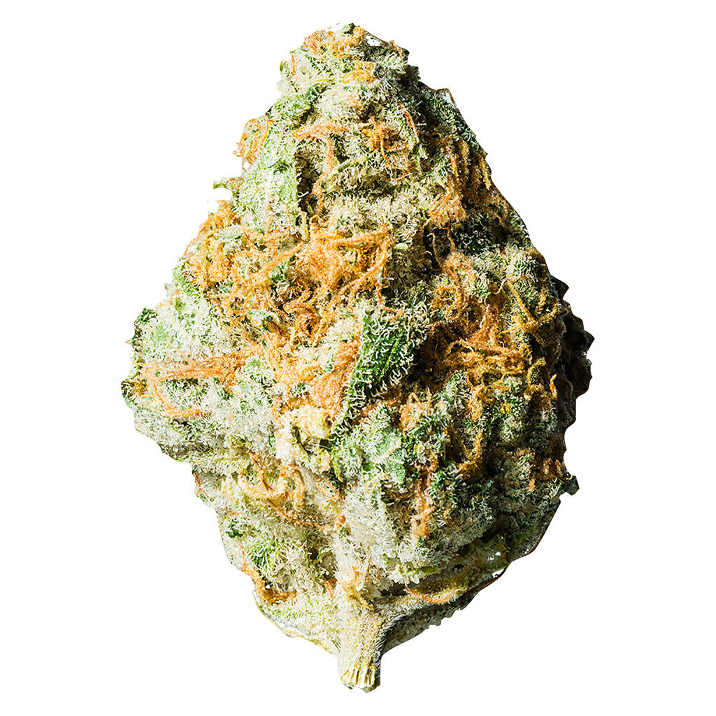 PARADISE CANNABIS - Niagara's Craft Sunset Jack