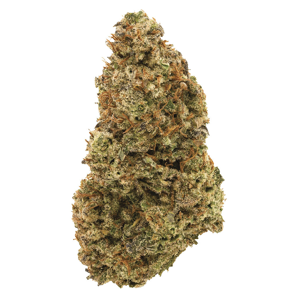 Simply Bare - BC Organic Harlequin