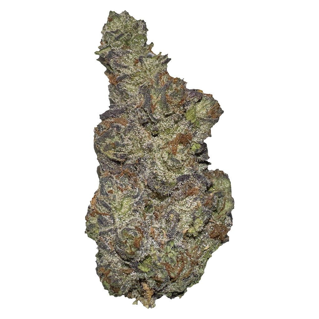 Terp Town Collective - Tangalina Jolie