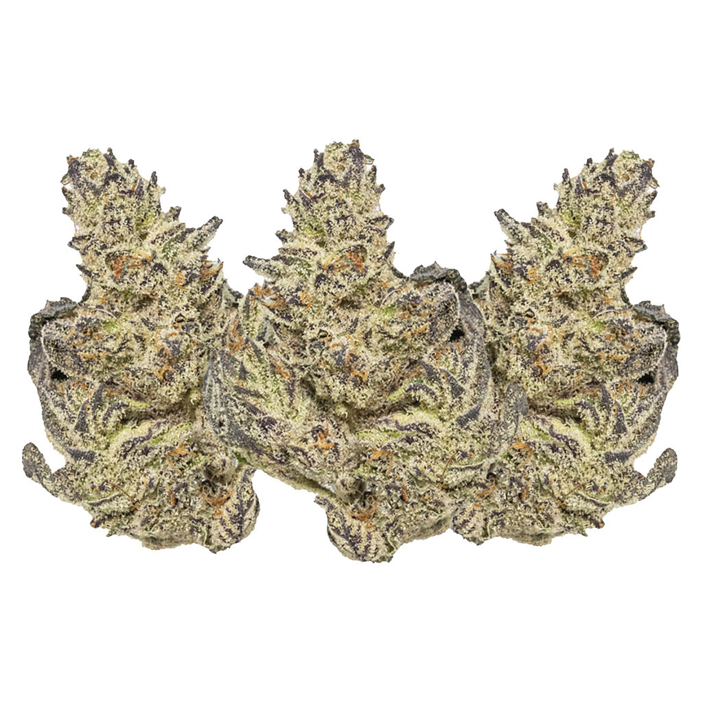 Eleven Eleven Legacy Craft - White Truffle