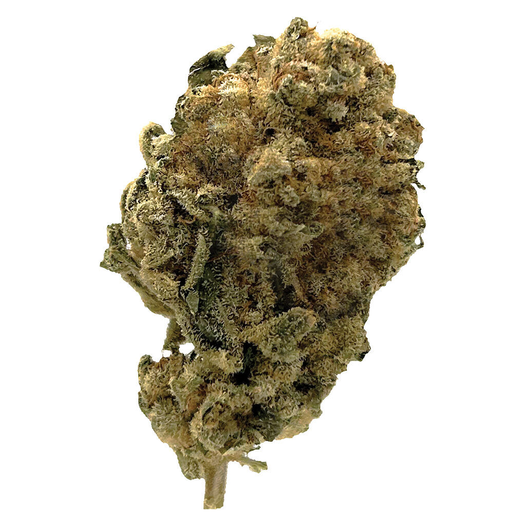 Station House - White Widow