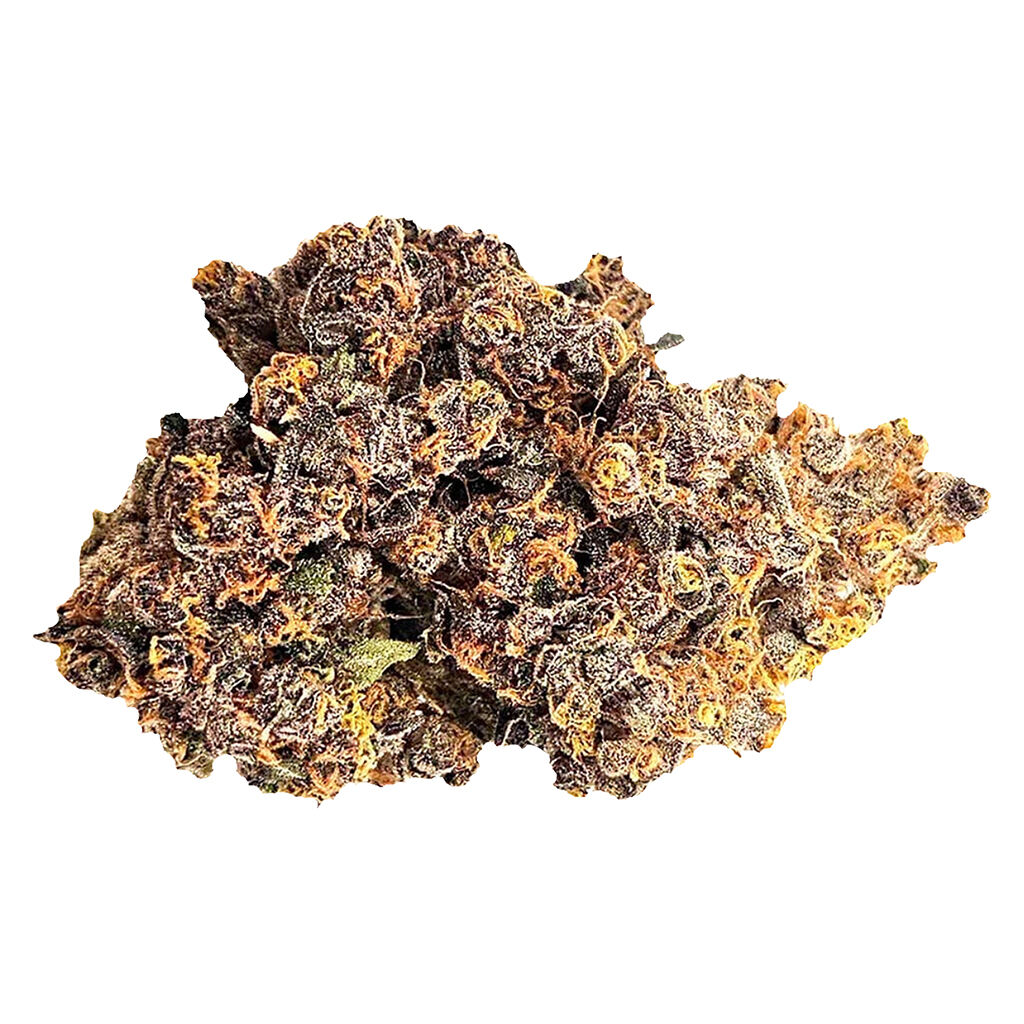 Fern - Mystery Gram Indica