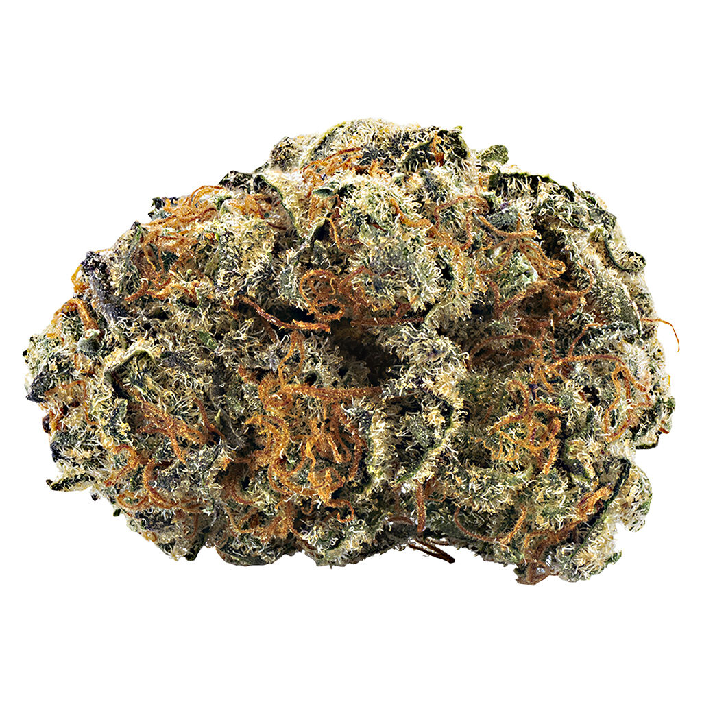 Reef Organic - CBD God Bud X