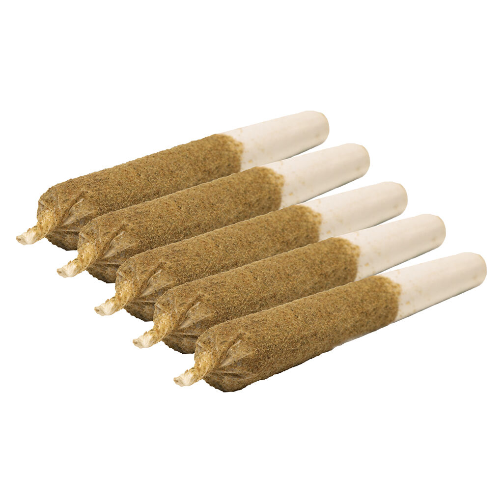General Admission - Rainbow Sherb Distillate Infused Pre-Roll - Hybrid - 1x1g