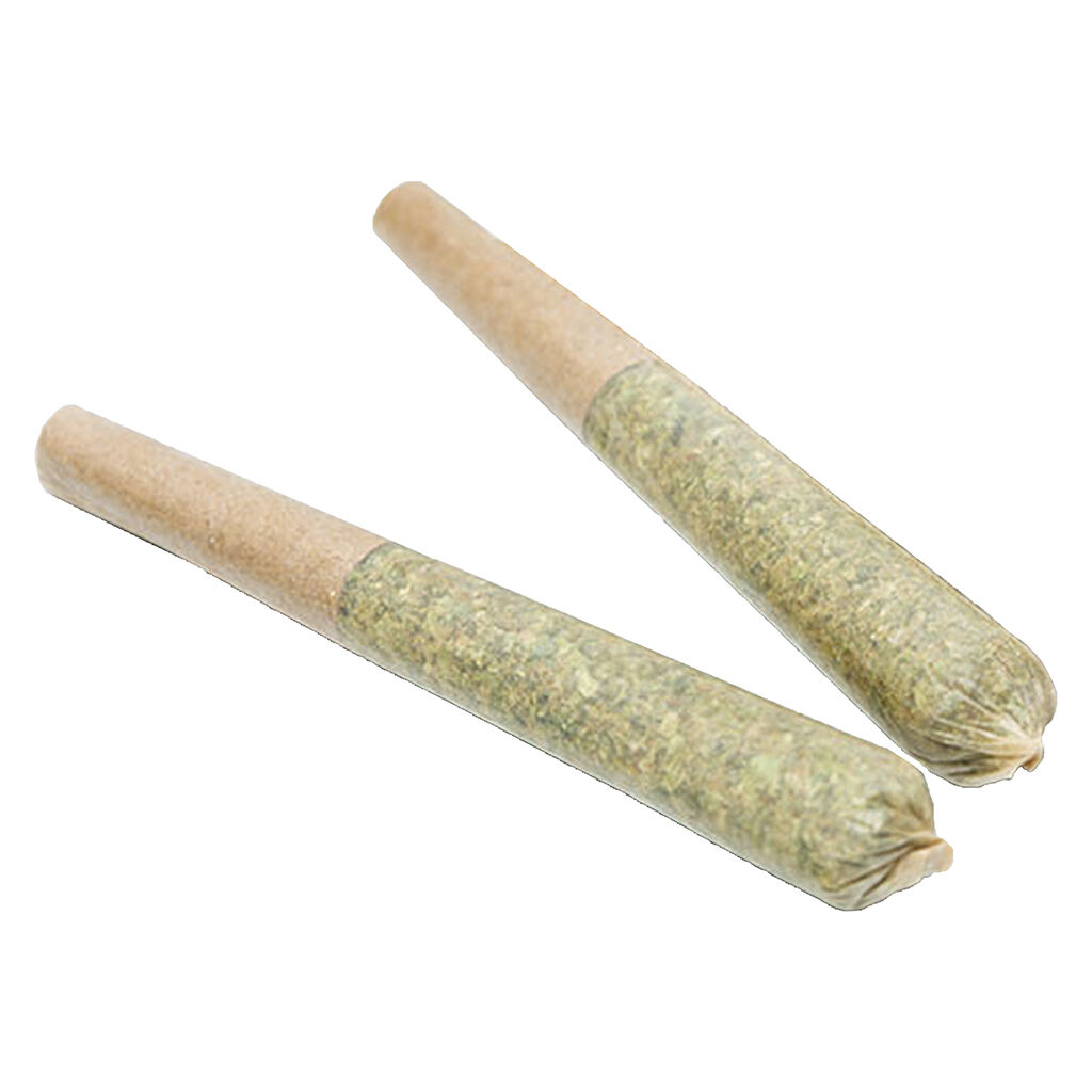 NOYA - Craft Cut Pre-Roll - Sativa - 10x0.5g