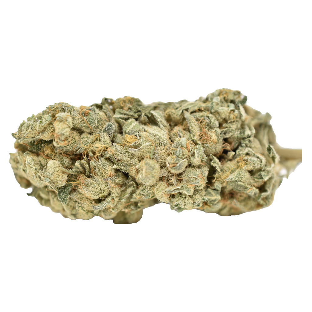 Weed Me Limited Batch - Blue Iguana