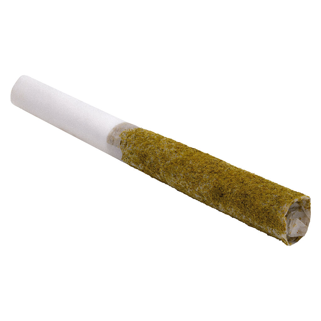 Vortex - Afghan Black Hash Infused Pre-Roll - Hybrid - 5x0.5g