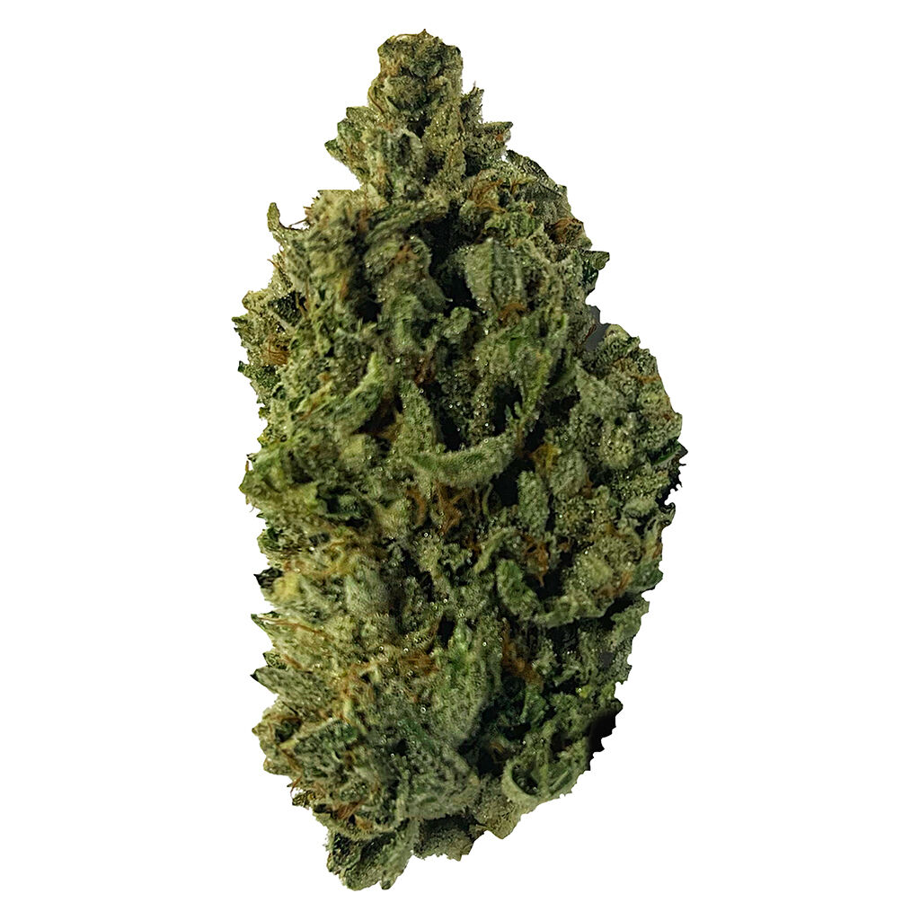 Ministry of Sativa - Durban Diesel
