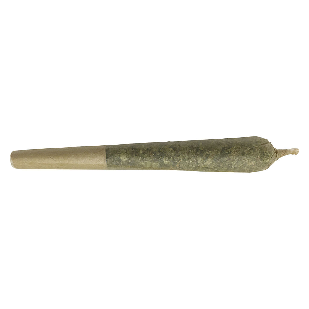 Dazed N' Confused - Oreoz X Orange Punch Pre-Roll - Hybrid - 2x0.5g