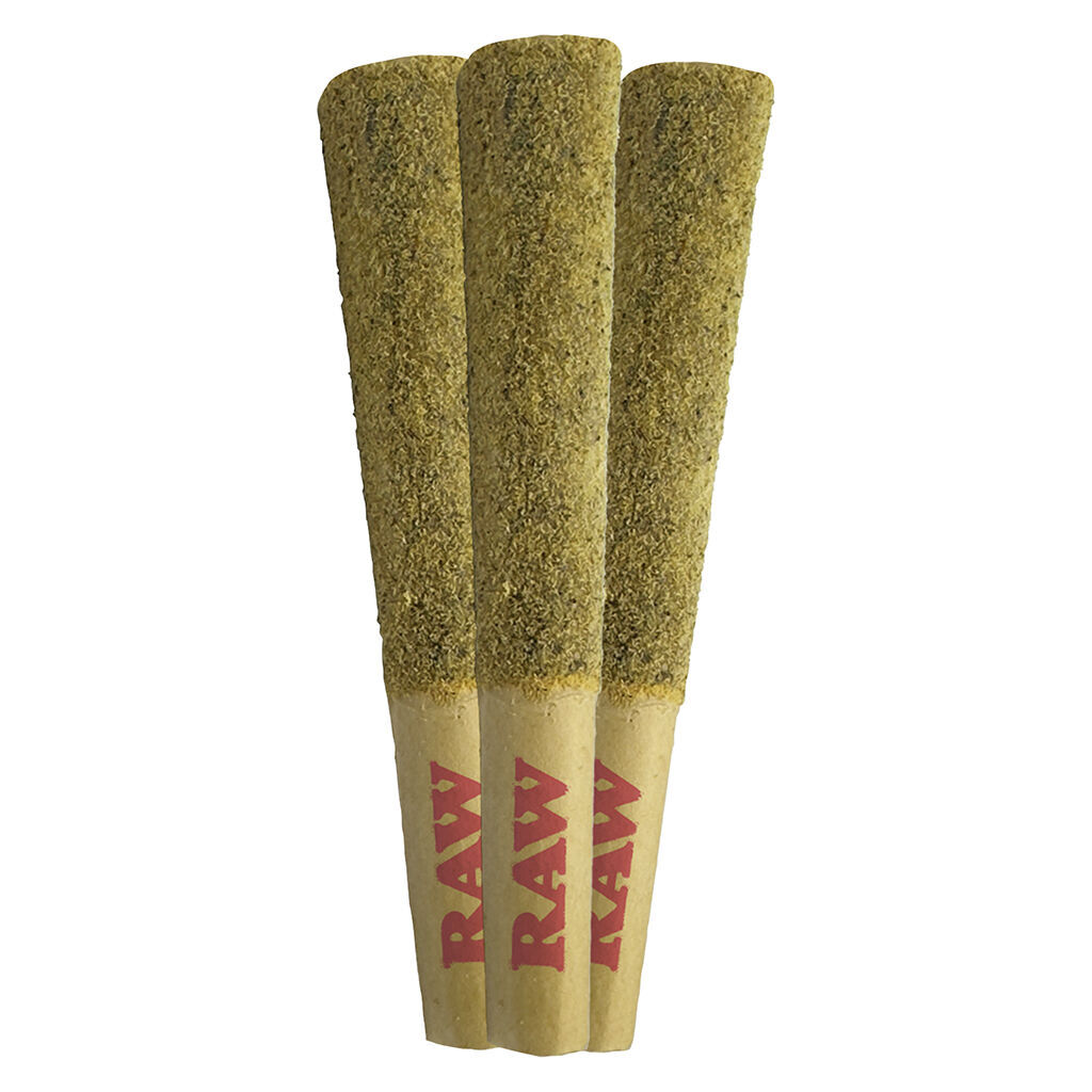Orchid CBD - CBD Rntz Elevated Infused Pre-roll - Hybrid - 3x0.6g