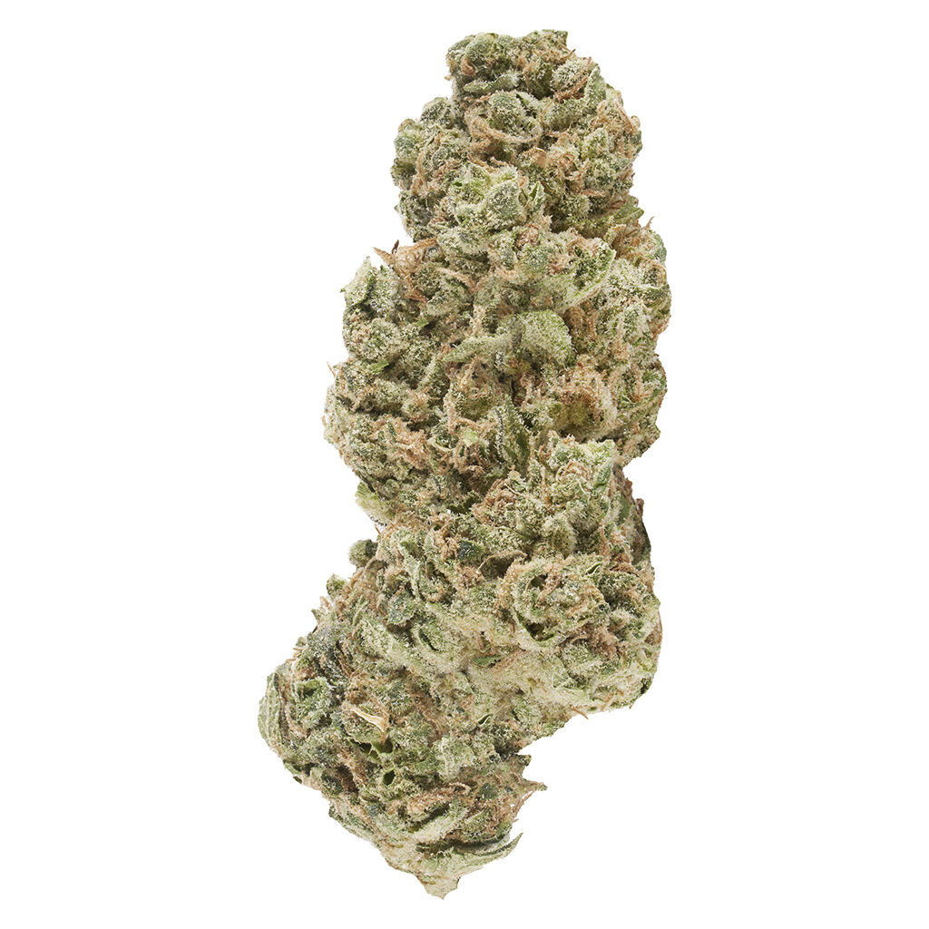 Canaca - Ghost Gelato