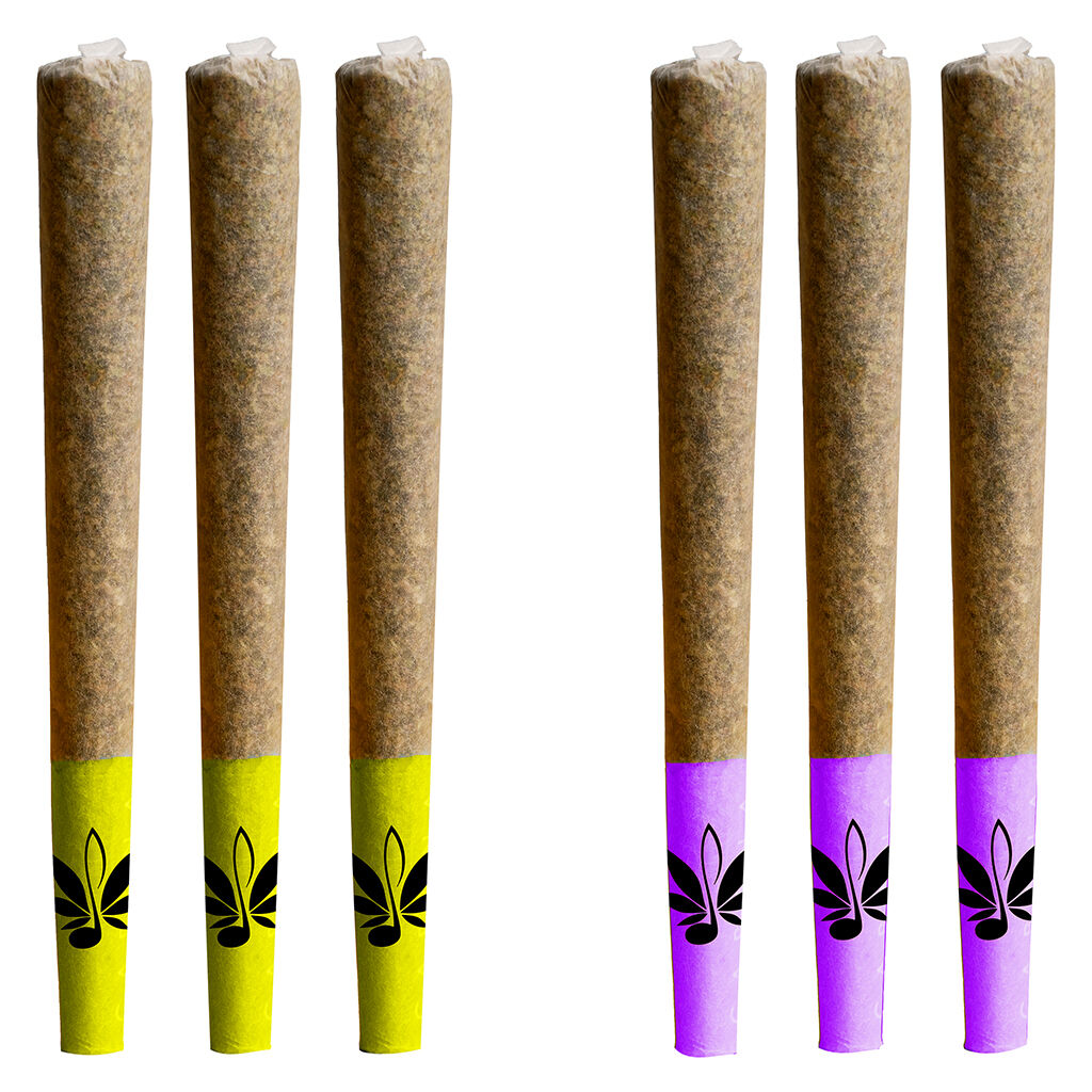 High Note - Day & Night Mixed Pack of Js Pre-Roll - Hybrid - 10x0.5g