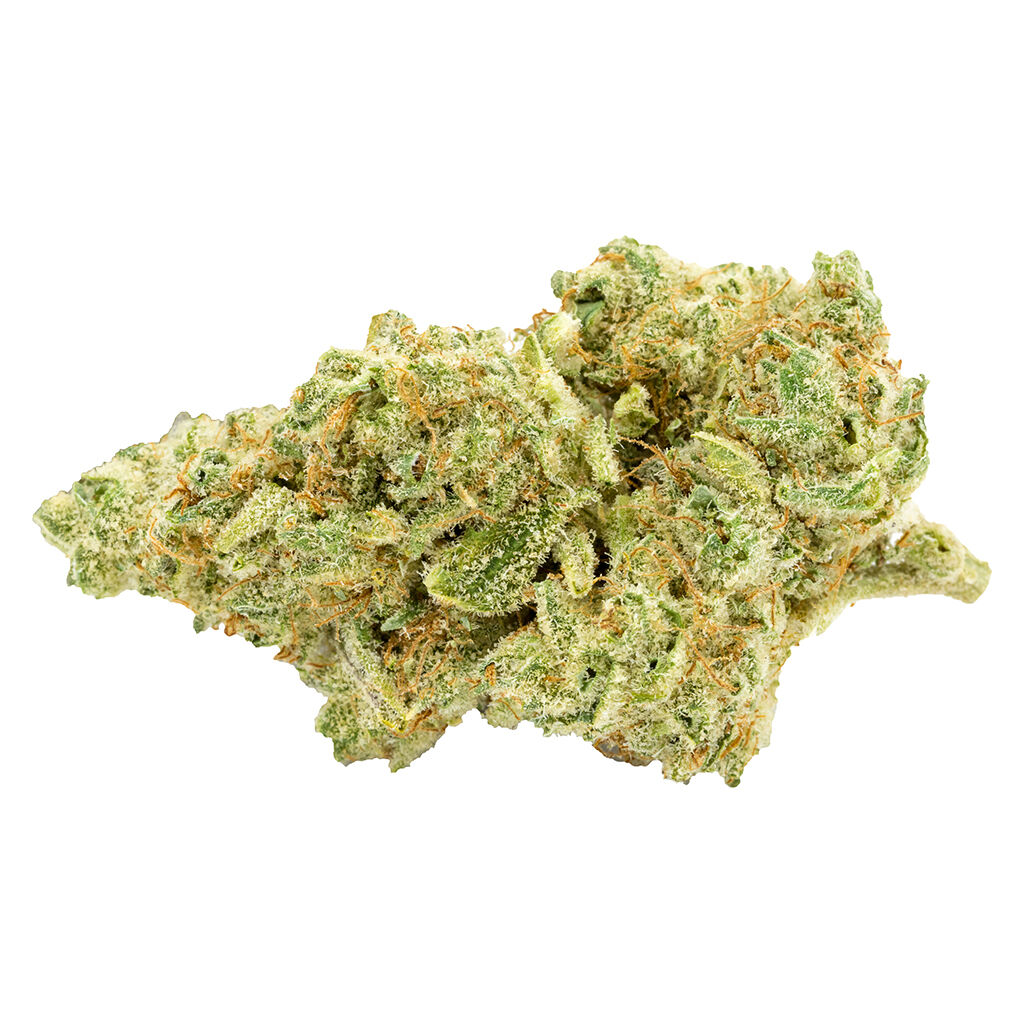 BOBS BETTER BUDS - Animal Face #10