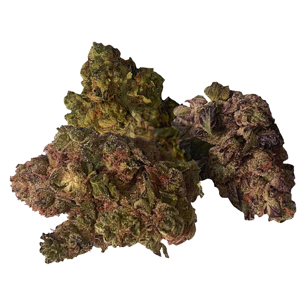 THINKER CLASSICS - Purple Haze (ON)